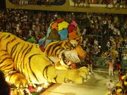 Easy Tiger!
