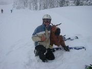 Silver Star - Old buddies.
