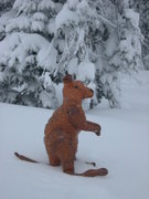 Silver Star - Des playing in the snow