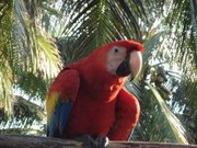 Highlight for Album: El Salvador
