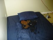 Some bandit spewed on my bed .. nasty