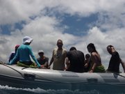 Panga from the water