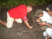 Laid over 110 eggs. We collected them and took them to a local sanctuary.
