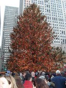 The Xmas tree at the Rockafella centre .. damn crowded, drove me nuts