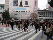 The streets were very busy