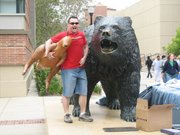 2 bears and a Kangaroo