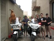 LA cops