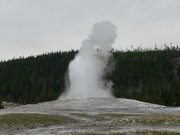Old faithful Geizer