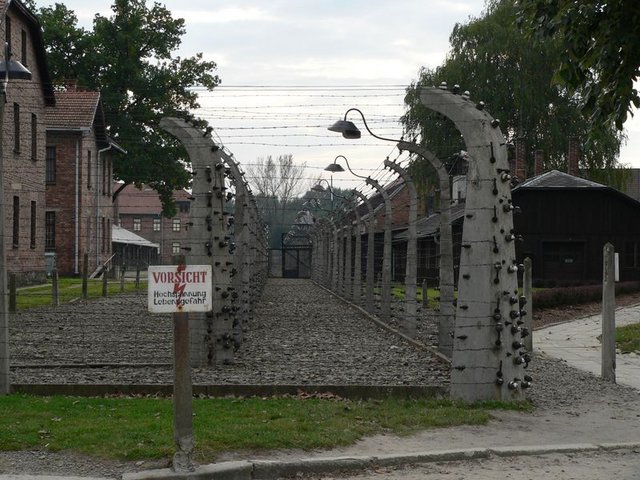 Barbed wire everywhere